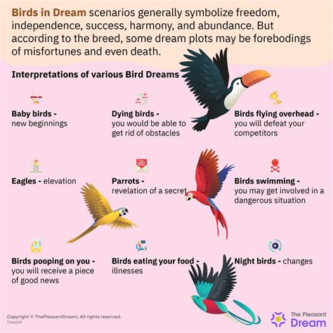 If you dream of getting a bird, this brings a good sign for the future. . Bird in dream meaning islam